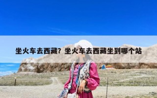 坐火車去西藏？坐火車去西藏坐到哪個(gè)站