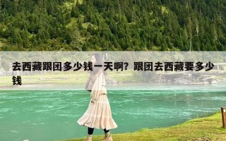 去西藏跟團(tuán)多少錢一天啊？跟團(tuán)去西藏要多少錢
