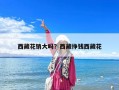 西藏花銷大嗎？西藏掙錢西藏花