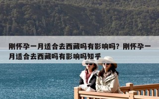 剛懷孕一月適合去西藏嗎有影響嗎？剛懷孕一月適合去西藏嗎有影響嗎知乎