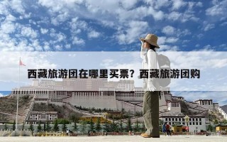 西藏旅游團(tuán)在哪里買票？西藏旅游團(tuán)購