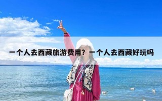一個人去西藏旅游費用？一個人去西藏好玩嗎