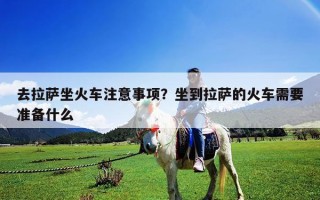 去拉薩坐火車注意事項(xiàng)？坐到拉薩的火車需要準(zhǔn)備什么