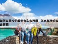 如何以最少的錢(qián)坐火車(chē)去西藏？怎么樣坐火車(chē)去西藏
