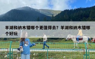 羊湖和納木錯(cuò)哪個(gè)更值得去？羊湖和納木錯(cuò)哪個(gè)好玩