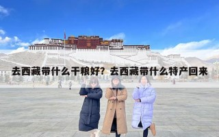 去西藏帶什么干糧好？去西藏帶什么特產回來