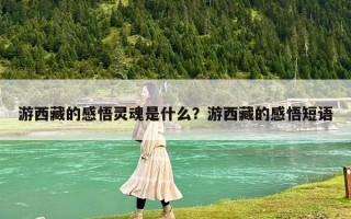 游西藏的感悟靈魂是什么？游西藏的感悟短語