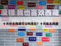 十月份去西藏可以嗎現(xiàn)在？十月能去西藏