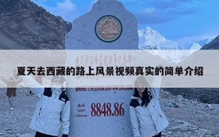 夏天去西藏的路上風景視頻真實的簡單介紹