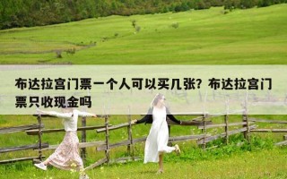 布達(dá)拉宮門票一個人可以買幾張？布達(dá)拉宮門票只收現(xiàn)金嗎