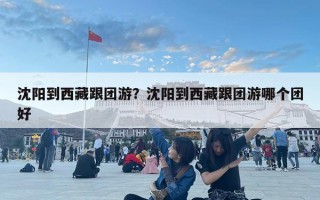 沈陽到西藏跟團游？沈陽到西藏跟團游哪個團好