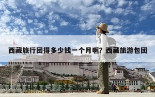 西藏旅行團得多少錢一個月啊？西藏旅游包團