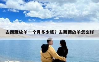去西藏放羊一個(gè)月多少錢(qián)？去西藏放羊怎么樣