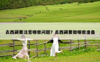 去西藏要注意哪些問題？去西藏要做哪些準備