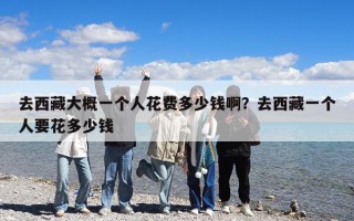 去西藏大概一個(gè)人花費(fèi)多少錢啊？去西藏一個(gè)人要花多少錢
