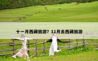 十一月西藏旅游？11月去西藏旅游
