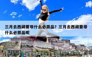 三月去西藏要帶什么必需品？三月去西藏要帶什么必需品呢