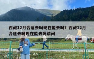 西藏12月合適去嗎現(xiàn)在能去嗎？西藏12月合適去嗎現(xiàn)在能去嗎請問