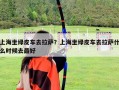 上海坐綠皮車去拉薩？上海坐綠皮車去拉薩什么時(shí)候去最好