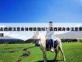 去西藏注意身體哪些指標？去西藏身體注意事項
