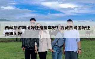 西藏旅游跟團(tuán)好還是拼車好？西藏自駕游好還是跟團(tuán)好