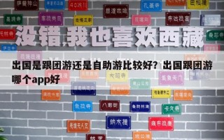 出國是跟團游還是自助游比較好？出國跟團游哪個app好