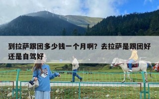 到拉薩跟團(tuán)多少錢一個(gè)月?。咳ダ_是跟團(tuán)好還是自駕好