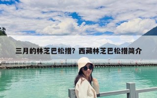 三月的林芝巴松措？西藏林芝巴松措簡介