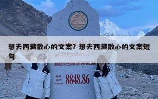 想去西藏散心的文案？想去西藏散心的文案短句