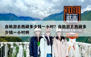 自助游去西藏多少錢一小時？自助游去西藏多少錢一小時啊