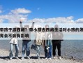 帶孩子游西藏？帶小孩去西藏生活對小孩的發育會不會有影響