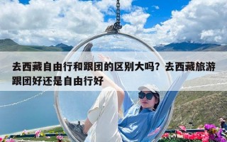 去西藏自由行和跟團的區別大嗎？去西藏旅游跟團好還是自由行好