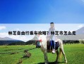 林芝自由行乘車攻略？林芝市怎么走