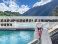 武漢至拉薩5日游自助游？武漢到拉薩旅游團價格查詢