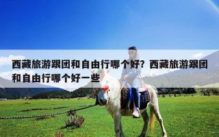 西藏旅游跟團和自由行哪個好？西藏旅游跟團和自由行哪個好一些
