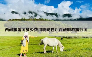西藏旅游團多少費用啊現在？西藏旅游旅行團