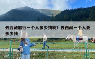 去西藏旅行一個(gè)人多少錢啊？去西藏一個(gè)人要多少錢
