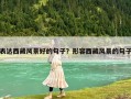 表達西藏風景好的句子？形容西藏風景的句子