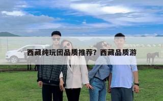 西藏純玩團品質推薦？西藏品質游