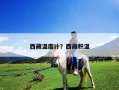 西藏溫度計？西藏積溫