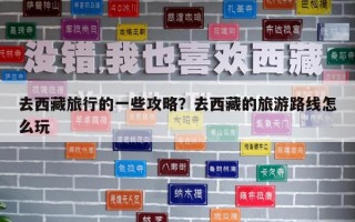 去西藏旅行的一些攻略？去西藏的旅游路線怎么玩