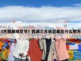 3月西藏桃花節？西藏三月桃花美在什么地方