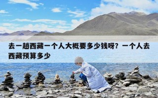去一趟西藏一個(gè)人大概要多少錢呀？一個(gè)人去西藏預(yù)算多少
