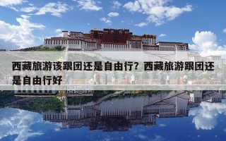 西藏旅游該跟團還是自由行？西藏旅游跟團還是自由行好