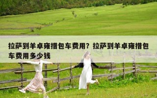 拉薩到羊卓雍措包車費用？拉薩到羊卓雍措包車費用多少錢