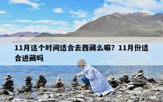 11月這個(gè)時(shí)間適合去西藏么嘛？11月份適合進(jìn)藏嗎
