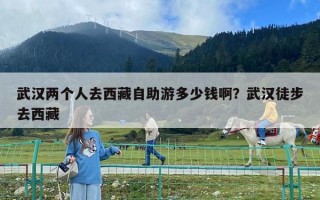 武漢兩個(gè)人去西藏自助游多少錢啊？武漢徒步去西藏