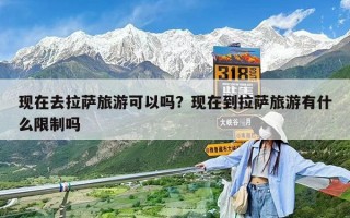 現(xiàn)在去拉薩旅游可以嗎？現(xiàn)在到拉薩旅游有什么限制嗎