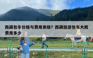 西藏包車價(jià)格與費(fèi)用表格？西藏旅游包車大概費(fèi)用多少