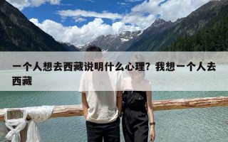 一個人想去西藏說明什么心理？我想一個人去西藏